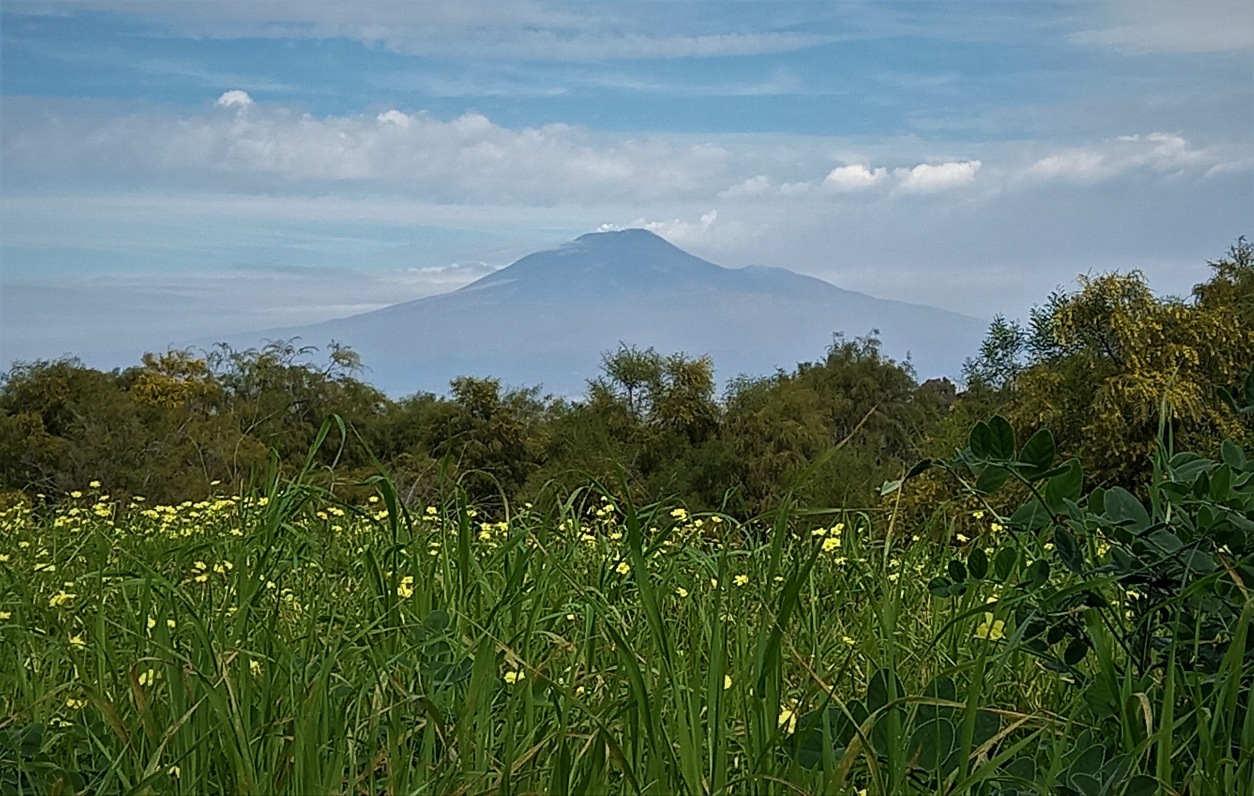 Evocazione, natura amica